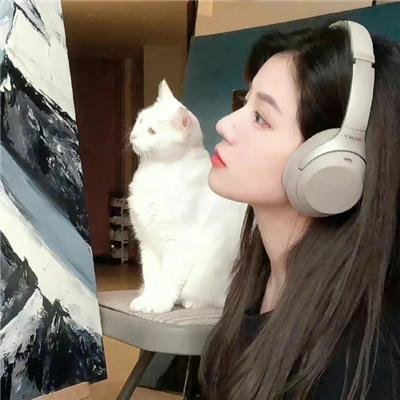 妈妈叫我警长第一季